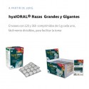SUPLEMENTO ESPECIAL ARTICULACIONES HYALORAL