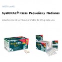 SUPLEMENTO ESPECIAL ARTICULACIONES HYALORAL