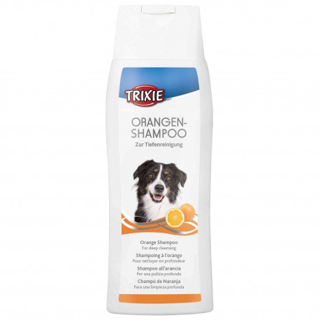 CHAMPÚ LIMPIEZA PROFUNDA, AROMA NARANJA,250ML