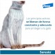 COLLAR ANTIPARASITARIO SERESTO PARA GATOS