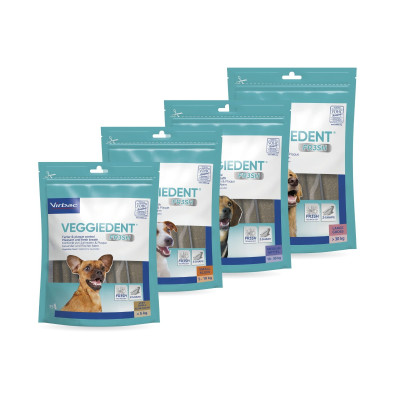 VEGGIEDENT FRESH. LÁMINAS MASTICABLES CUIDADO BUCAL