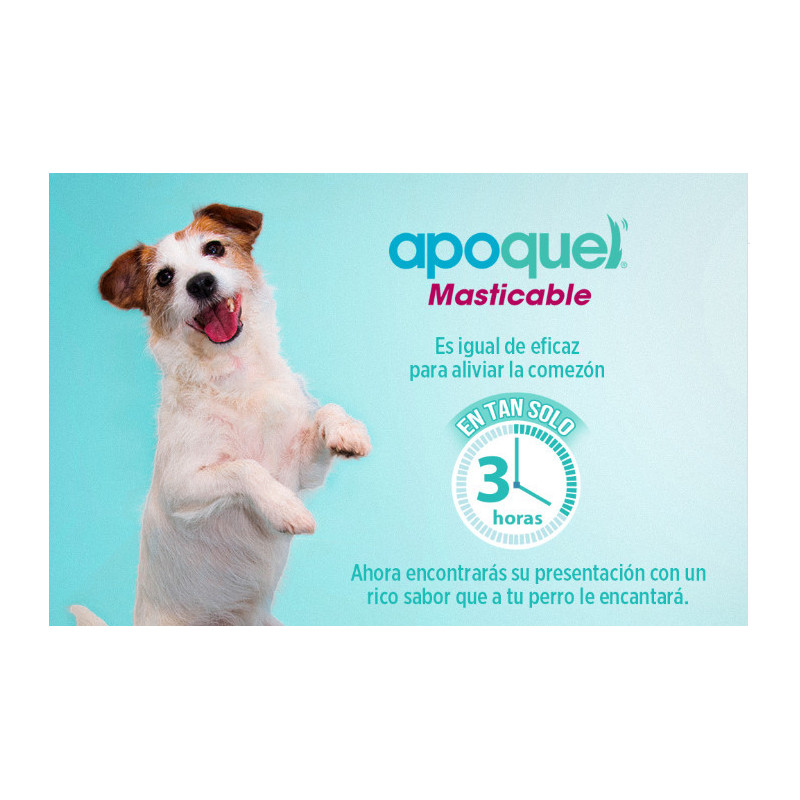 APOQUEL 16 MG MASTICABLE - BLISTER 20 UD